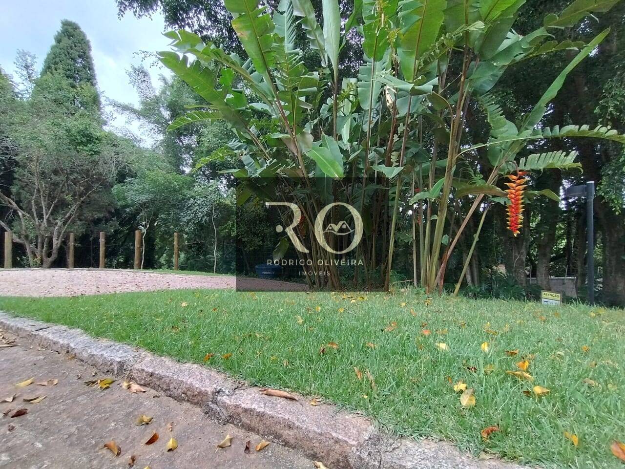 Terreno, 721 m² - Foto 9